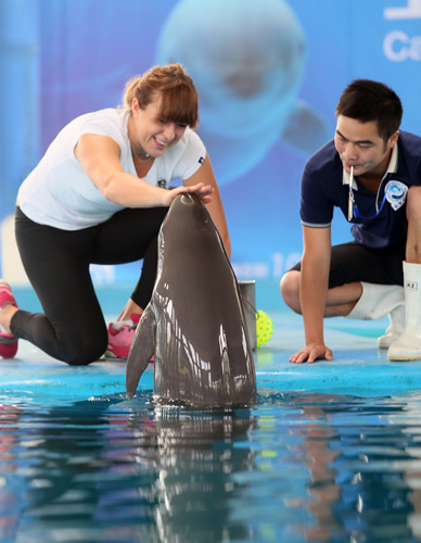 他依然能够 他依然能够